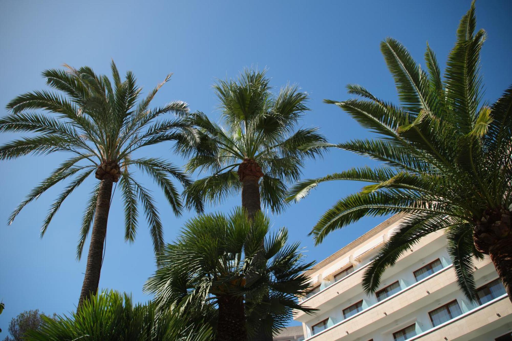 Hotel Son Caliu Spa Oasis Palmanova Екстериор снимка